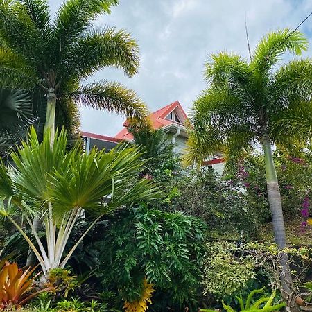 Villa O Trois Palmiers à Le Robert Extérieur photo