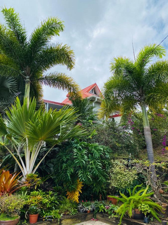 Villa O Trois Palmiers à Le Robert Extérieur photo